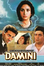 دانلود فیلم Damini 1993