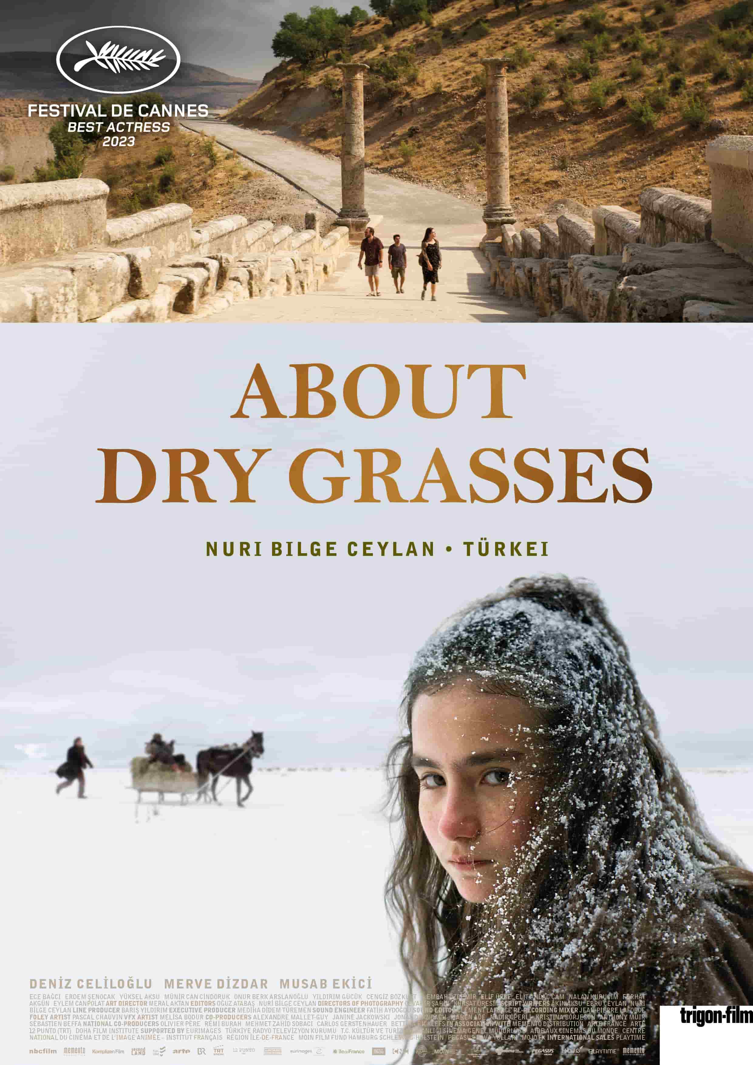 دانلود فیلم About Dry Grasses 2023
