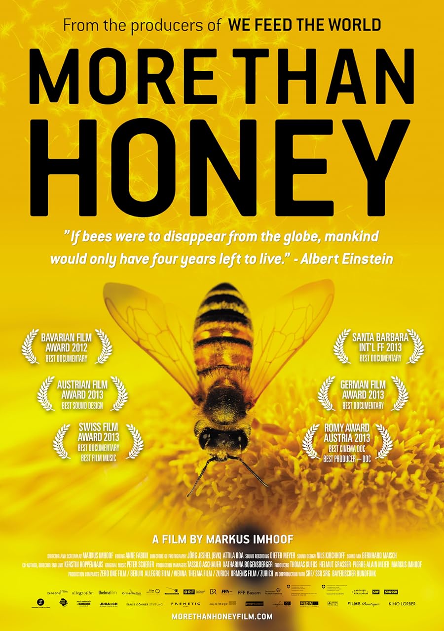 دانلود دوبله فارسی فیلم More Than Honey 2012 دانلود دوبله فارسی فیلم More Than Honey 2012
