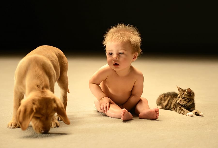 دانلود فیلم Secret Life of Babies 2014 دانلود فیلم Secret Life of Babies 2014