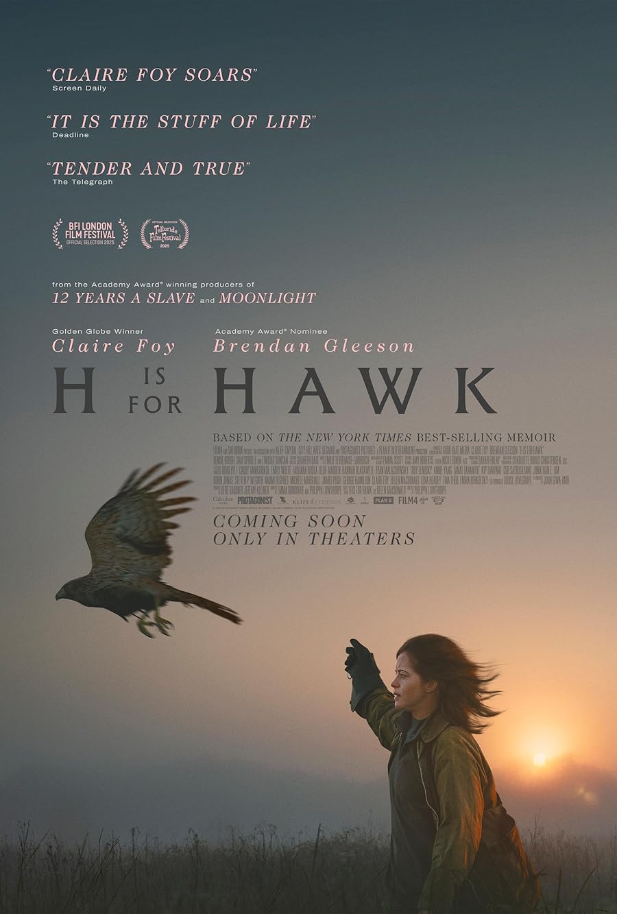 دانلود فیلم H Is for Hawk 2025 با زیرنویس فارسی چسبیده دانلود فیلم H Is for Hawk 2025 با زیرنویس فارسی چسبیده