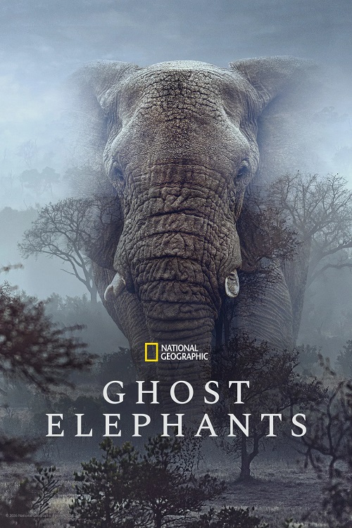 دانلود فیلم Ghost Elephants 2025 با زیرنویس فارسی چسبیده